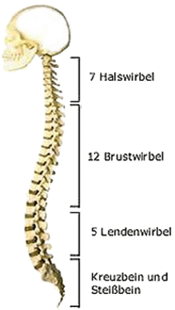 Dorn Breuss Dorn Breuss