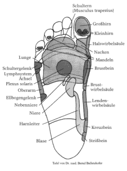 Fussreflexzonen